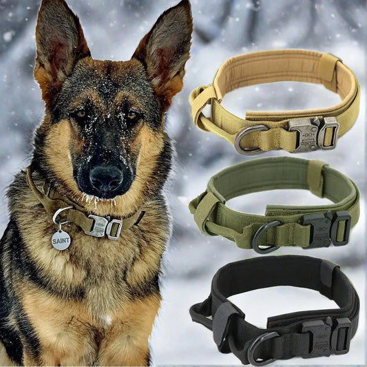 Dog Collar