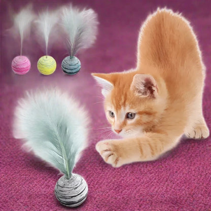 Cat Toy Feather Ball